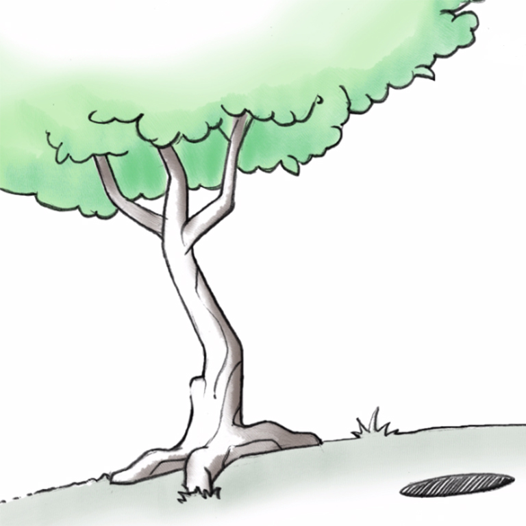 In quiet surroundings, wearers want to enjoy all natural soft sounds to the fullest, such as birdsong or a gentle breeze rustling through the trees.